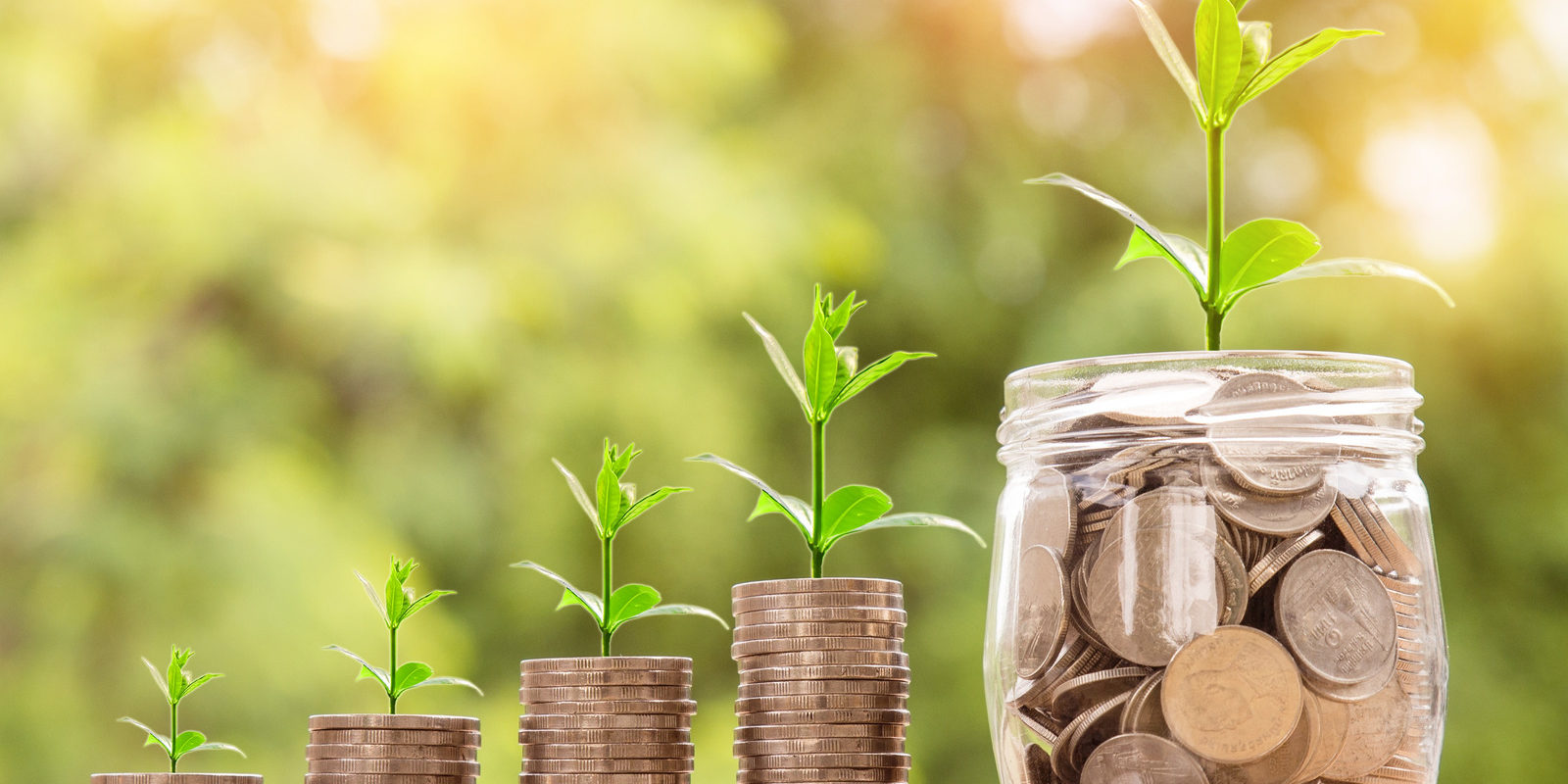 Russian speaking realtor USA Investment